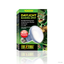 Exo Terra Daylight Basking Spot Lámpara 100 W para terrarios, , large indicador imagen numero 3
